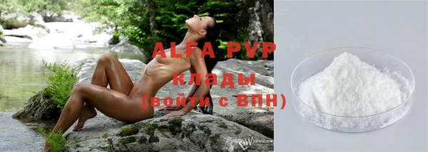 сатива Арсеньев