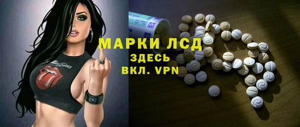 гашик Аркадак