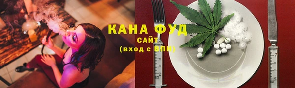 гашик Аркадак