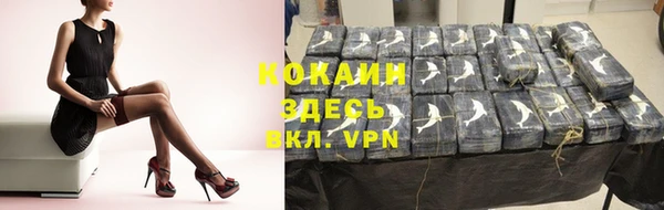 гашик Аркадак