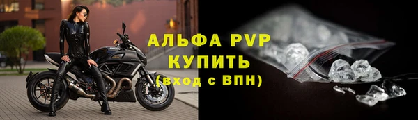 сатива Арсеньев