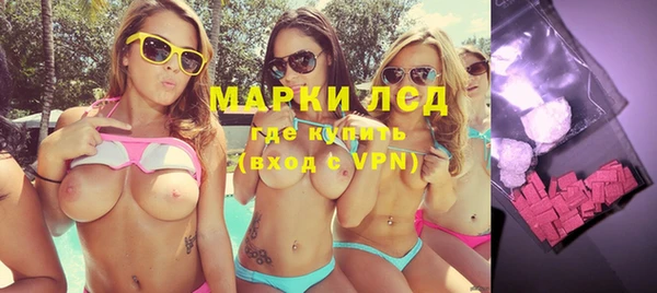 гашик Аркадак