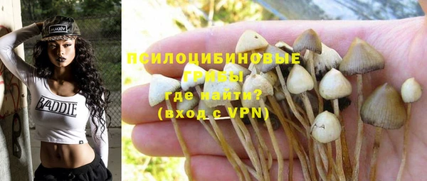 сатива Арсеньев