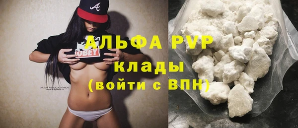 гашик Аркадак