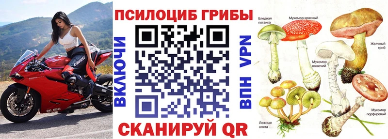 ссылка на мегу ССЫЛКА  купить  сайты  Озёрск  Галлюциногенные грибы GOLDEN TEACHER 